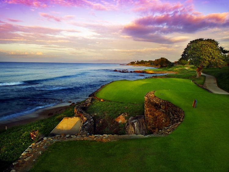 Teeth of the Dog edit